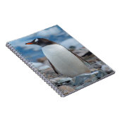 Antarctica. Neko Harbor. Ezelspinguïn Notitieboek (Rechterzijde)