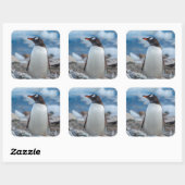 Antarctica. Neko Harbor. Ezelspinguïn Vierkante Sticker (Vel)