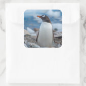 Antarctica. Neko Harbor. Ezelspinguïn Vierkante Sticker (Tas)
