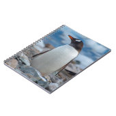 Antarctica. Neko Harbour. Gentoo Penguin Notitieboek (Linkerzijde)