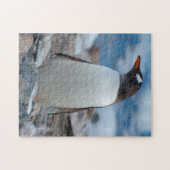 Antarctica. Neko Haven. Ezelspinguïn Legpuzzel (Horizontaal)
