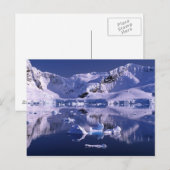 Antarctica, Paradise Bay Briefkaart (Voorkant / Achterkant)