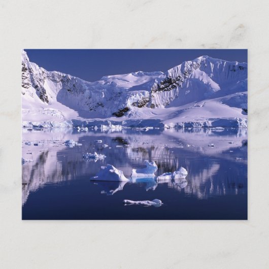 Antarctica, Paradise Bay Briefkaart (Voorkant)