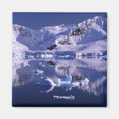 Antarctica, Paradise Bay Magneet (Voorkant)