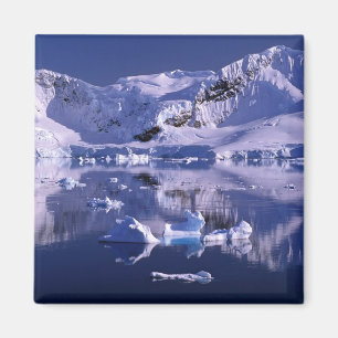Antarctica, Paradise Bay Magneet