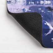 Antarctica, Paradise Bay Muismat (Hoek)