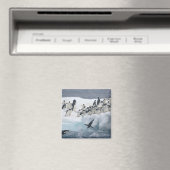 Antarctica, Paulet-eiland. Adélie-pinguïns Magneet (Insitu (Vaatwasser))