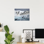 Antarctica, Paulet-eiland. Adelie-pinguïns Poster (Thuiskantoor)