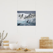 Antarctica, Paulet-eiland. Adelie-pinguïns Poster (Keuken)