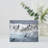 Antarctica, Paulet Island. Adelie pinguins Briefkaart (Staand voorkant)
