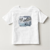 Antarctica, Paulet Island. Adelie pinguins Kinder Shirts (Voorkant)