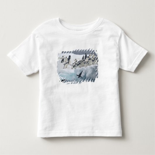 Antarctica, Paulet Island. Adelie pinguins Kinder Shirts (Voorkant)