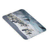 Antarctica, Paulet Island. Adelie pinguins Magneet (Rechterzijde)