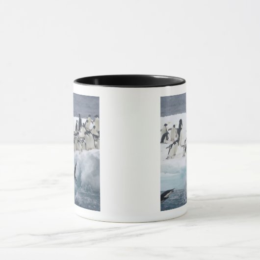 Antarctica, Paulet Island. Adelie pinguins Mok (Midden)