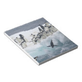 Antarctica, Paulet Island. Adelie pinguins Notitieblok (Schuin)