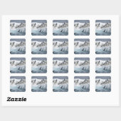 Antarctica, Paulet Island. Adelie pinguins Vierkante Sticker (Vel)