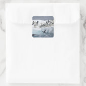 Antarctica, Paulet Island. Adelie pinguins Vierkante Sticker (Tas)