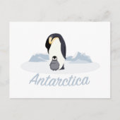 Antarctica Penguins Briefkaart (Voorkant)