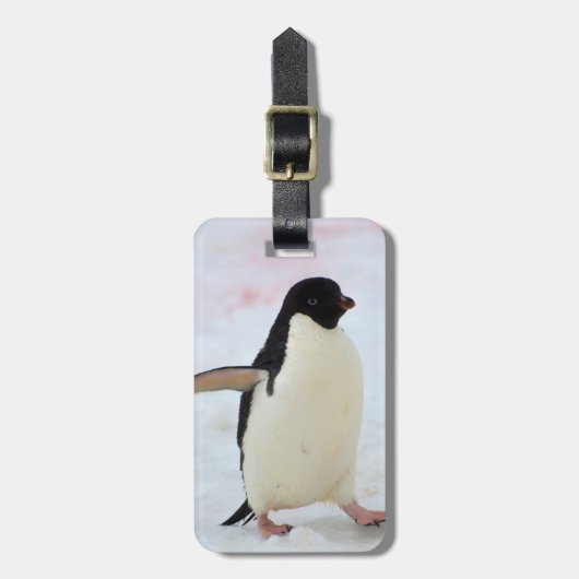 Antarctica. Petermann-eiland. Adelie-pinguïn Bagagelabel (Voorkant verticaal)