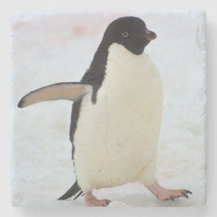 Antarctica. Petermann-eiland. Adelie-pinguïn Stenen Onderzetter