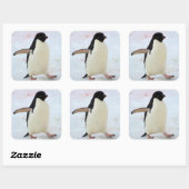 Antarctica. Petermann Island Adelie penguin Vierkante Sticker (Vel)
