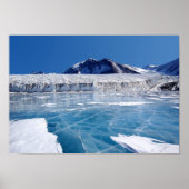 Antarctica Poster (Voorkant)