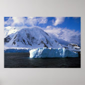 Antarctica Poster (Voorkant)