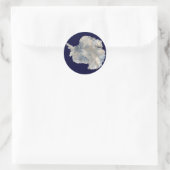 Antarctica Ronde Sticker (Tas)