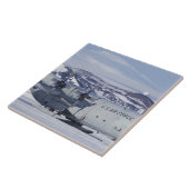 Antarctica, Ross Island, McMurdo station, C-130 Tegeltje (Zijkant)