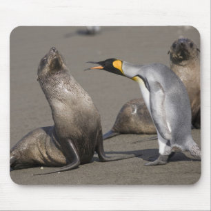 Antarctica, South Georgia-eiland (VK), Koning 3 Muismat