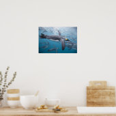 Antarctica, South Georgia-eiland VK Poster (Keuken)