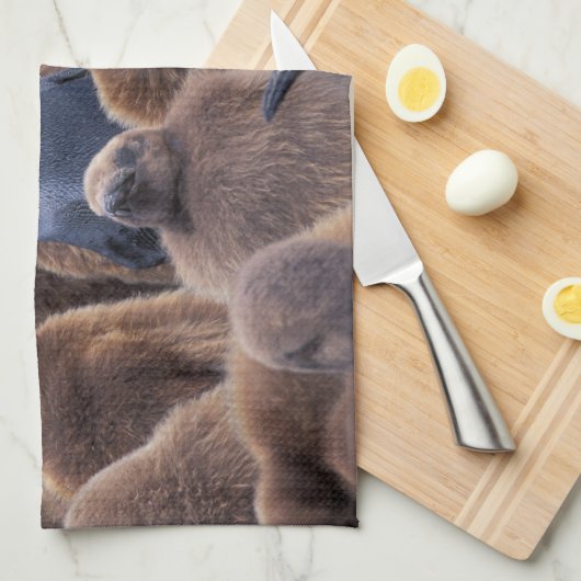 Antarctica, South Georgia Island, King penguins Theedoek (Quarter Fold)