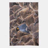 Antarctica, South Georgia Island, King penguins Theedoek (Verticaal)