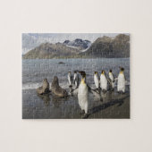 Antarctica, South Georgia Island (UK), Antarctic 2 Legpuzzel (Horizontaal)