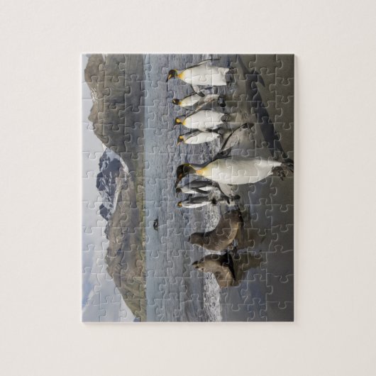 Antarctica, South Georgia Island (UK), Antarctic 2 Legpuzzel (Verticaal)