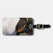 Antarctica, Sub-Antarctische eilanden, Zuid-5 Bagagelabel (Voorkant horizontaal)