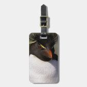 Antarctica, Sub-Antarctische eilanden, Zuid-5 Bagagelabel (Voorkant verticaal)