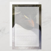 Antarctica, Sub-Antarctische eilanden, Zuid-5 Briefpapier (Voorkant / Achterkant)