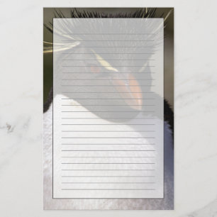 Antarctica, Sub-Antarctische eilanden, Zuid-5 Briefpapier