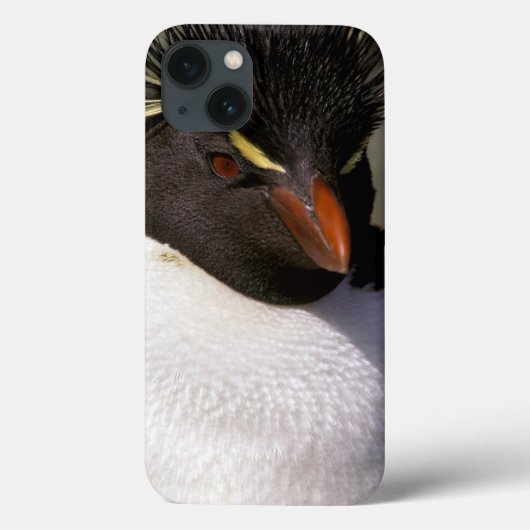 Antarctica, Sub-Antarctische eilanden, Zuid 5 Case-Mate iPhone Case (Achterkant)