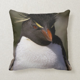 Antarctica, Sub-Antarctische eilanden, Zuid-5 Kussen