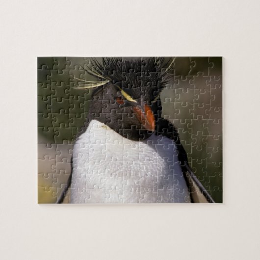 Antarctica, Sub-Antarctische eilanden, Zuid 5 Legpuzzel (Horizontaal)