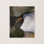 Antarctica, Sub-Antarctische eilanden, Zuid 5 Legpuzzel (Verticaal)