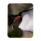 Antarctica, Sub-Antarctische eilanden, Zuid-5 Magneet (Verticaal)