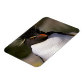 Antarctica, Sub-Antarctische eilanden, Zuid-5 Magneet (Linkerzijde)