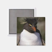 Antarctica, Sub-Antarctische eilanden, Zuid-5 Magneet (Voorkant / Achterkant)