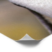 Antarctica, Sub-Antarctische eilanden, Zuid-5 Poster (Hoek)