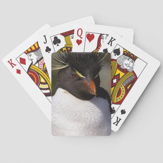 Antarctica, Sub-Antarctische eilanden, Zuid 5 Speelkaarten (Achterkant)