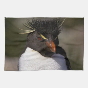 Antarctica, Sub-Antarctische eilanden, Zuid-5 Theedoek