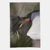 Antarctica, Sub-Antarctische eilanden, Zuid-5 Theedoek (Verticaal)